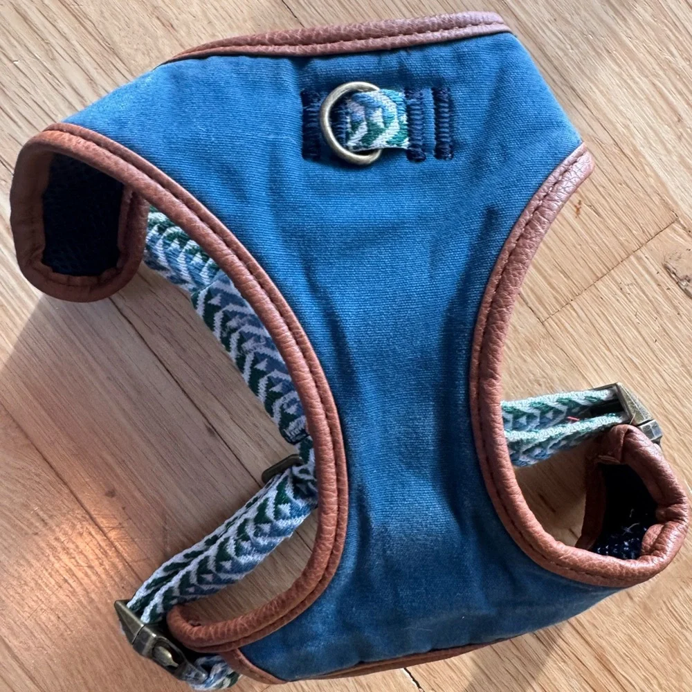 Top Paw Blue and Green Dog Harness